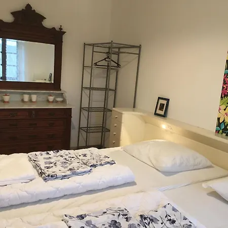 Le Bos Clard Félines