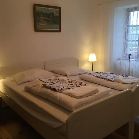 Le Bos Clard Félines