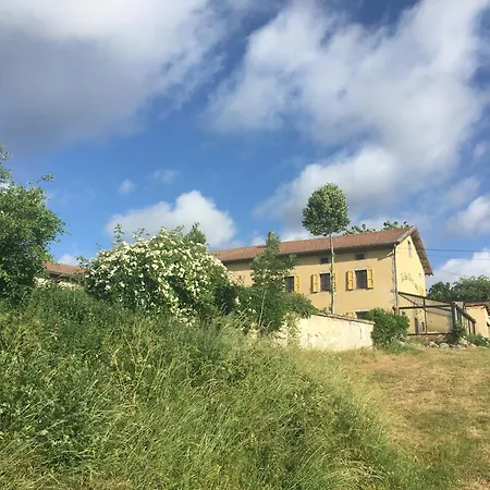 Le Bos Clard * Félines