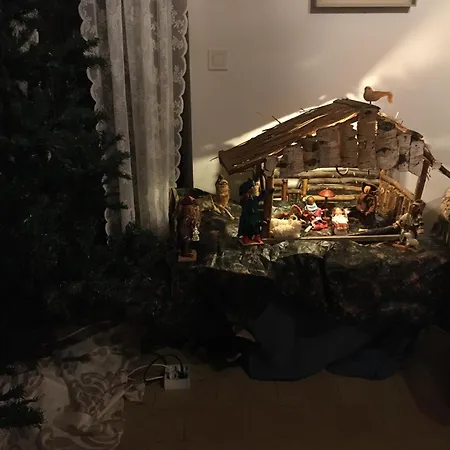 Le Bos Clard Félines