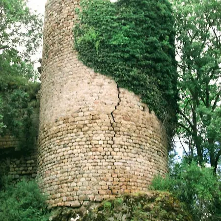 Le Bos Clard * Félines