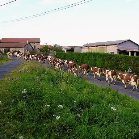 Tatil Evi Le Bos Clard Félines